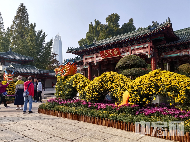 中宏網山東10月26日電 10月26日，第45屆趵突泉金秋菊展開幕。（攝影 王平）