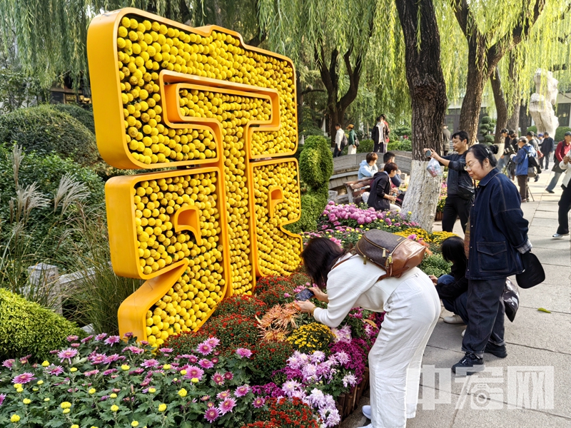 “菊花仙子”古風(fēng)巡游、花神舞蹈快閃、“逐花尋夢(mèng)”對(duì)詩互動(dòng)、“東籬賞秋·君子如菊”文化雅集表演、護(hù)城河游船賞菊專線、插花互動(dòng)體驗(yàn)、金秋菊展攝影大賽、泉水泡菊花大碗茶等也會(huì)精彩上演。